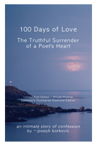 book 100 Days of Love